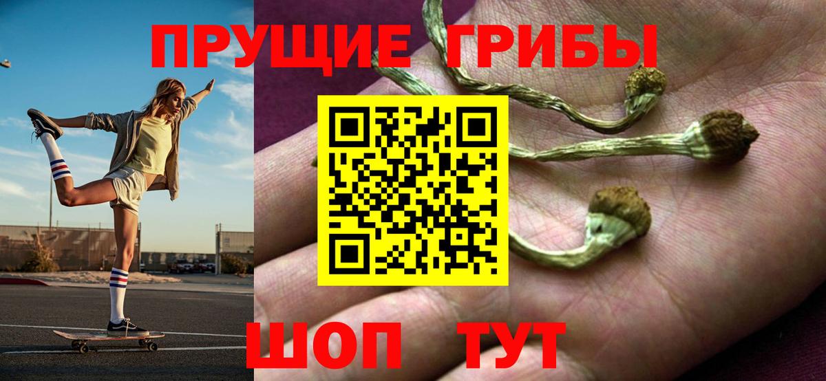 Галлюциногенные грибы MAGIC MUSHROOMS  Галлюциногенные грибы прущие грибы  Вход с VPN  Заречный 