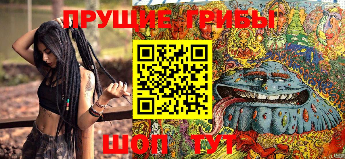 Псилоцибиновые грибы Psilocybe Заречный